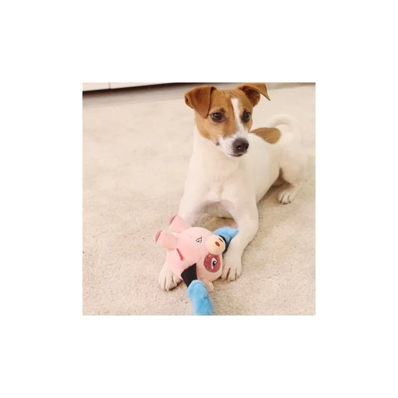 GiGwi Pet Toys-4