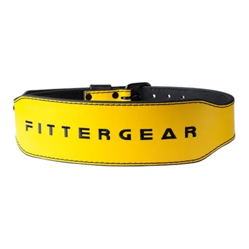 FITTERGEAR Back Support Braces