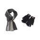 Gray Scarf+Black Glove