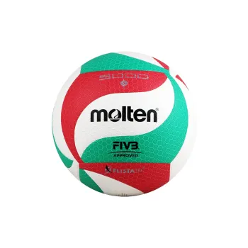 Molten Volleyball
