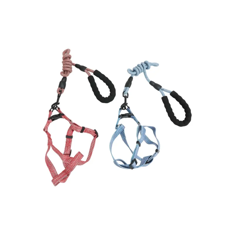 HISTOTREE Leashes-5