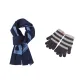 Blue Scarf+Dark Gray Glove