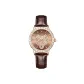 LA311 Coffee Dial Brown Strap