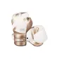 White Gold Boxing Gloves+3D Keychain 1