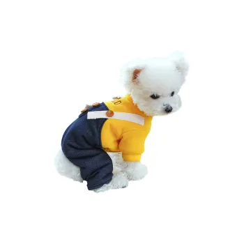 Pampering Pet Clothing