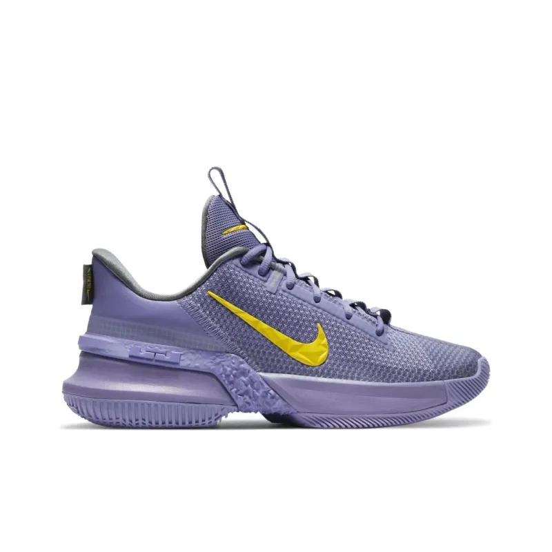 Nike LeBron Ambassador 13 Lakers-1