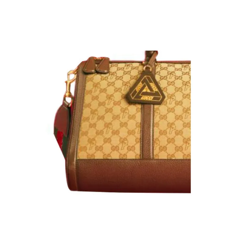 Palace X GUCCI Handbags-4