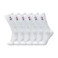6 Pack (White)