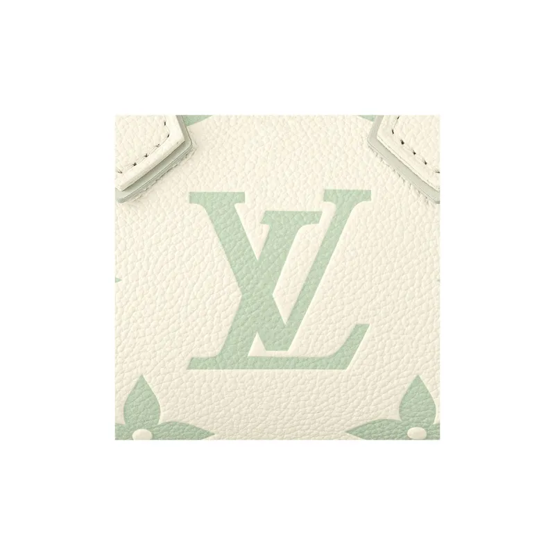 LOUIS VUITTON M46883 Nano Speedy-5