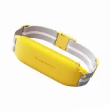Sunflower Yellow