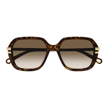 Chloe Irregular Shape Sunglasses Men's Tortoiseshell