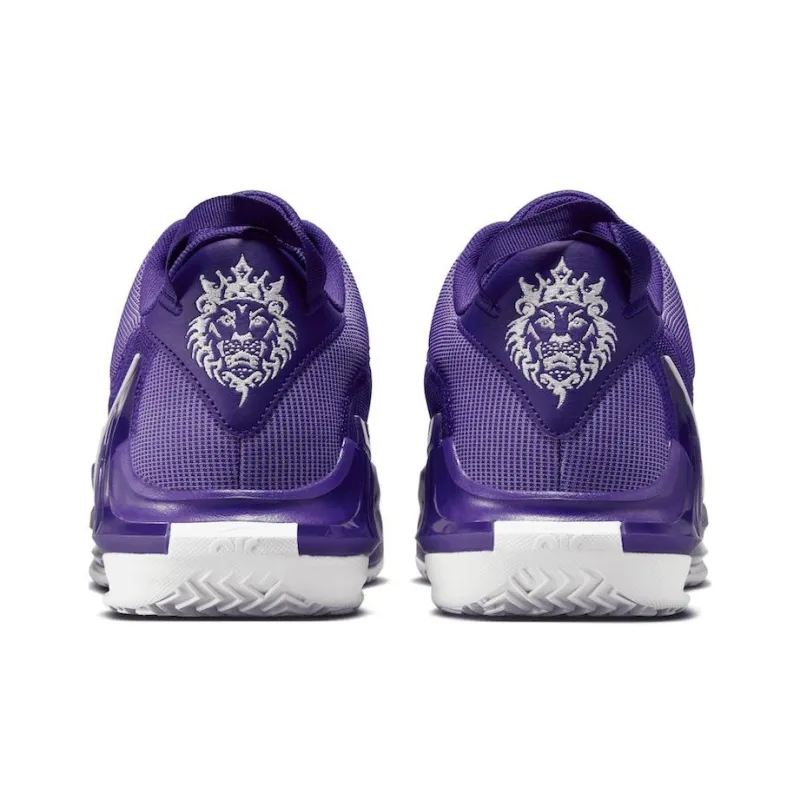 Nike LeBron Witness 7 Tb Court Purple-4
