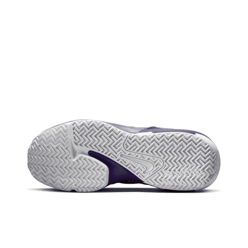 Nike LeBron Witness 7 Tb Court Purple-5