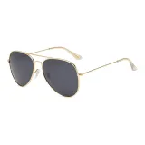 Gold Frame with All Gray Lens