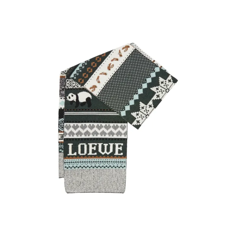 LOEWE Knit Scarves Women's Green-0