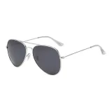 Silver Frame with All Gray Lens