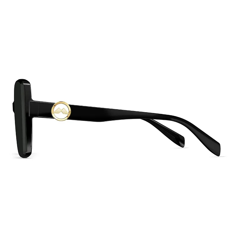MOLSION Plate Frame TR/Memory Plastic Irregular Shape Sunglasses Women's Multicolor-1