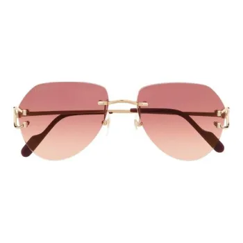 Cartier Tinted Pilot frame Sunglasses