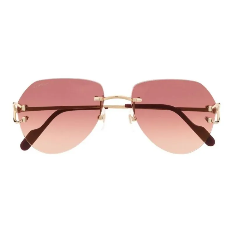 Cartier Tinted Pilot frame Sunglasses-0