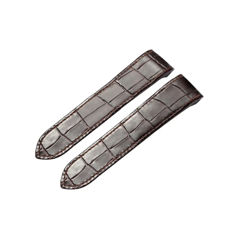 ZHISHENG Watch Band 20/23mm Interface Width Unisex-0
