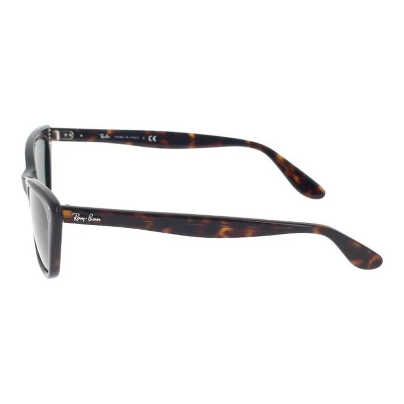 RayBan Lady Burbank Cat-Eye Frame Sunglasses-2