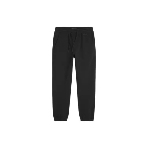 Hollister Knitted Sweatpants Men