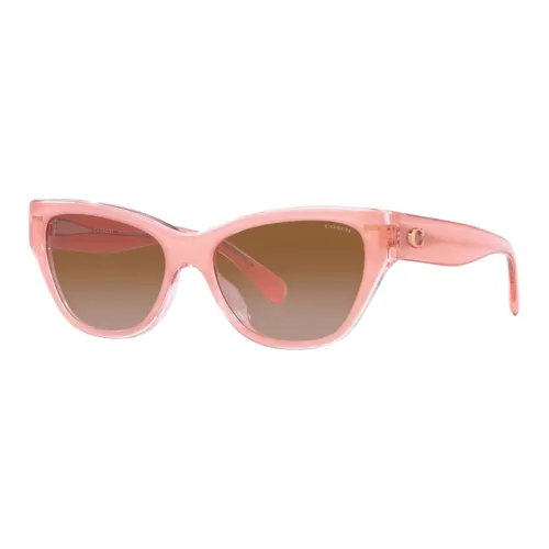 COACH Acetate Irregular Shape Sunglasses Women's Pink