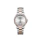 Silver Dial