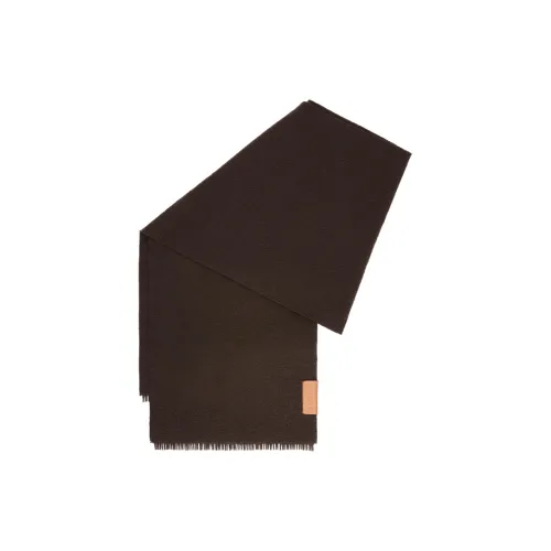 LOEWE Knit Scarves Women's Brown