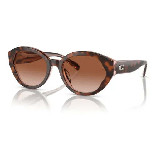 COACH Acetate Oval Sunglasses Women's Tortoiseshell