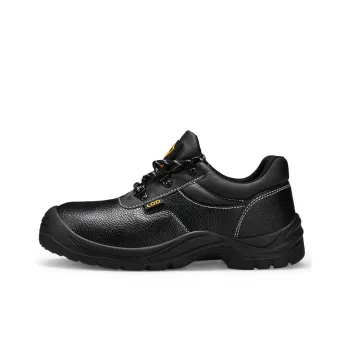 Blue Gull Shield Wear Resistant Impact Resistant Low Top Outdoor Shoes Unisex Black