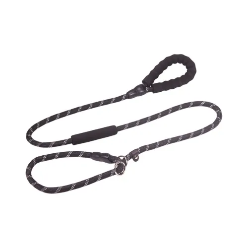 Bebe fun Leashes