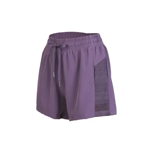 Bird of Aussie Casual Shorts Women's Purple