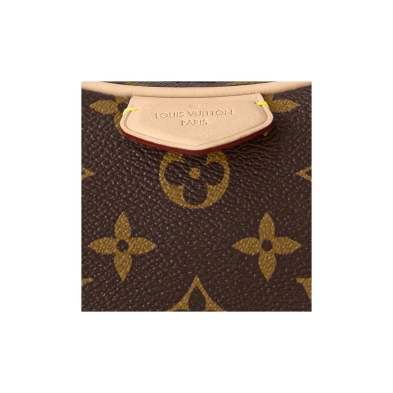 LOUIS VUITTON Croissant Mm Brown Monogram-5