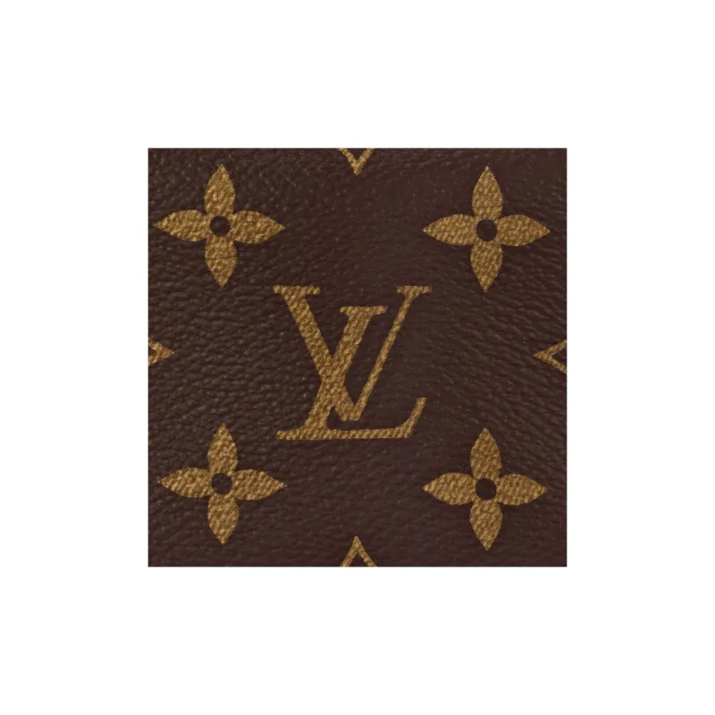 LOUIS VUITTON Pico Side Trunk-5