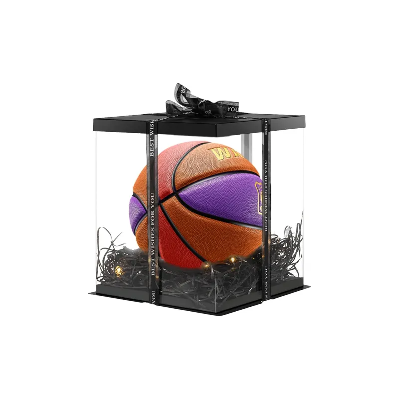 WADE Basketball-4