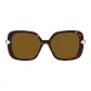 Tortoiseshell