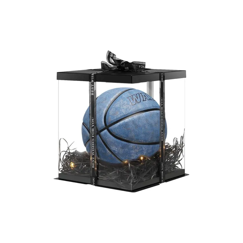 WADE Basketball-1