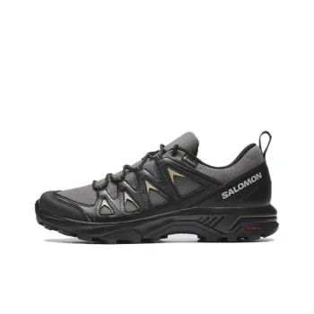 SALOMON X Braze Gtx 'Black'