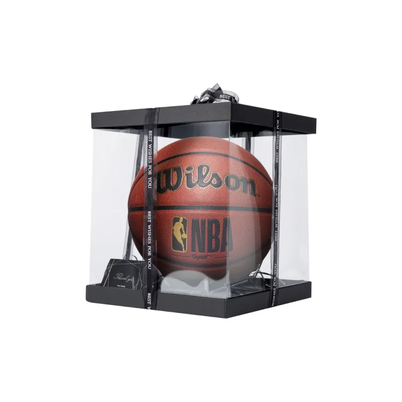 Wilson Basketball-8
