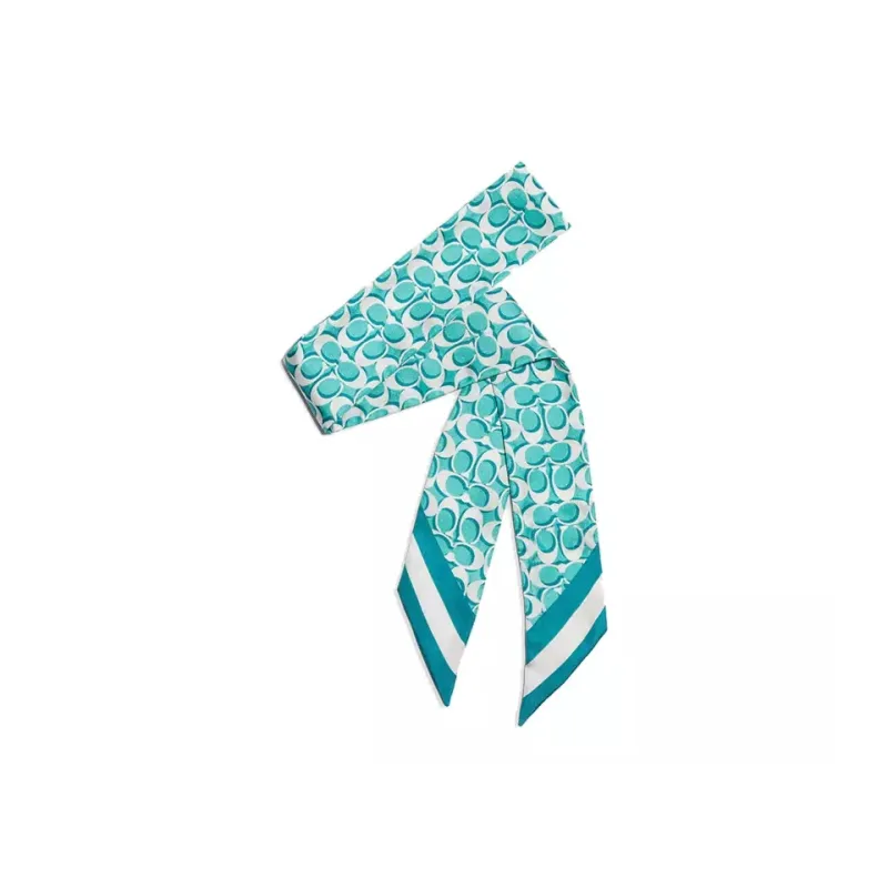 COACH Silk Scarves Women's Blue-0