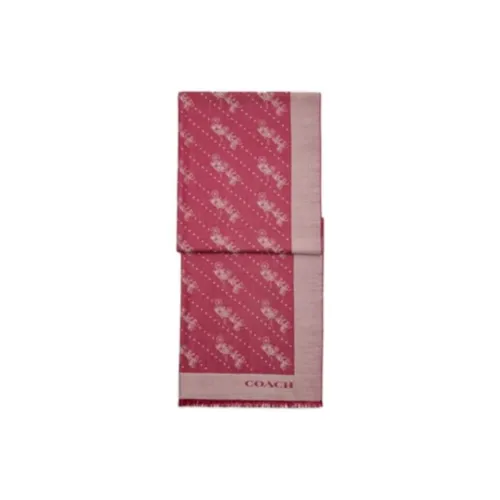 COACH Knit Scarves Women's Pink