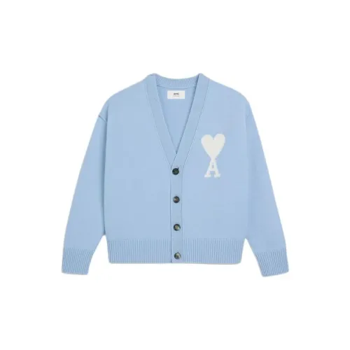 AMIPARIS Sweaters Unisex Sky Blue