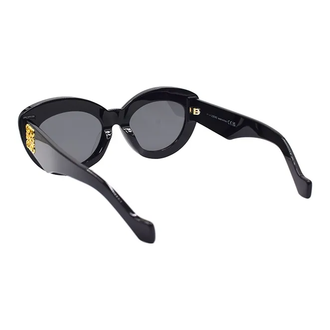 LOEWE Cat Eye Frame Sunglasses-2