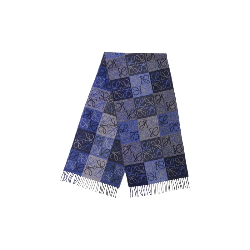 LOEWE Knit Scarves Women's Blue-1