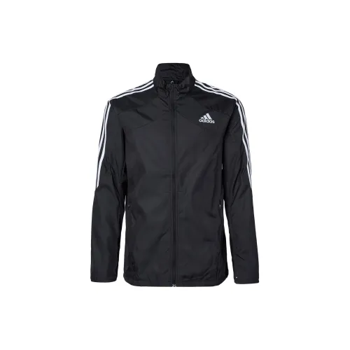 adidas Male Jacket