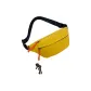 Yellow+Frog Charm