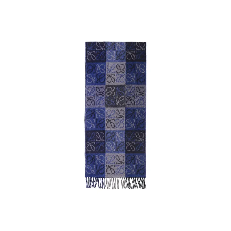 LOEWE Knit Scarves Women's Blue-0