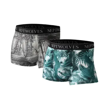 SEPTWOLVES Underpants Men's 2 Pack With Box Included