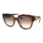 Tortoiseshell